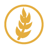 gluten