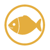 pescado